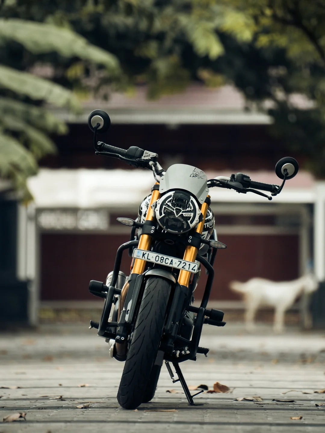 Triumph Speed 400 Thanos Crash Guard With Slider